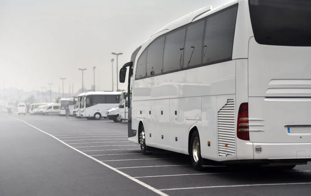 Zdjęcie Jak założyć firmę przewozową bus i uniknąć kosztownych błędów