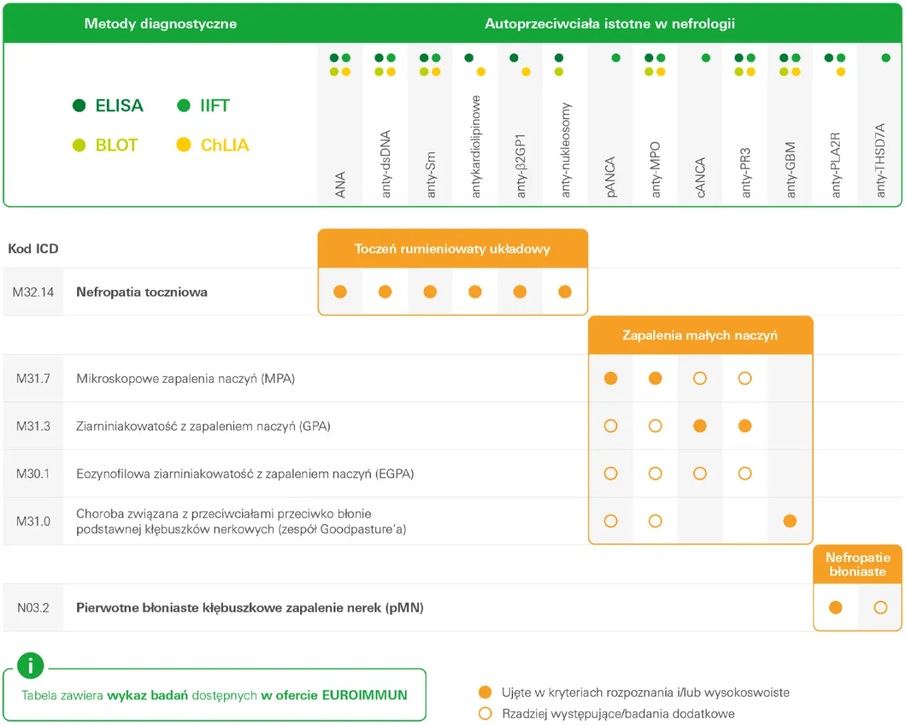 Zdjęcie Jakie badanie na nerki wykonać aby szybko wykryć chorobę - Kompleksowy test
