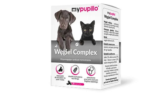 Zdjęcie Ile węgla dla psa? Bezpieczne dawkowanie przy zatruciach i biegunkach