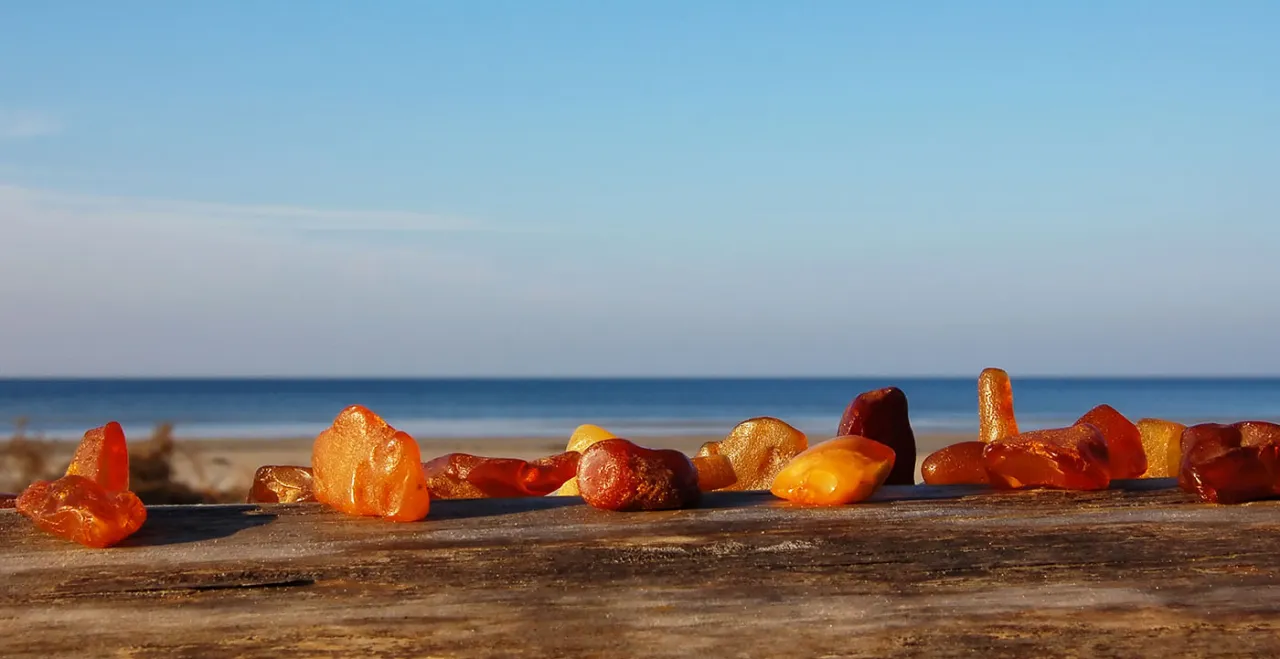 Zdjęcie Gdzie najwięcej bursztynów nad Bałtykiem: 8 sprawdzonych lokalizacji na plaży