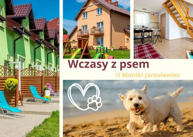 Zdjęcie Wakacje z psem: Gdzie spędzić niezapomniane chwile w Polsce