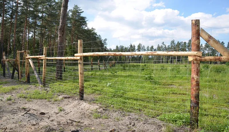 Zdjęcie Tanie sposoby na ogrodzenie działki – oszczędź na materiałach i montażu