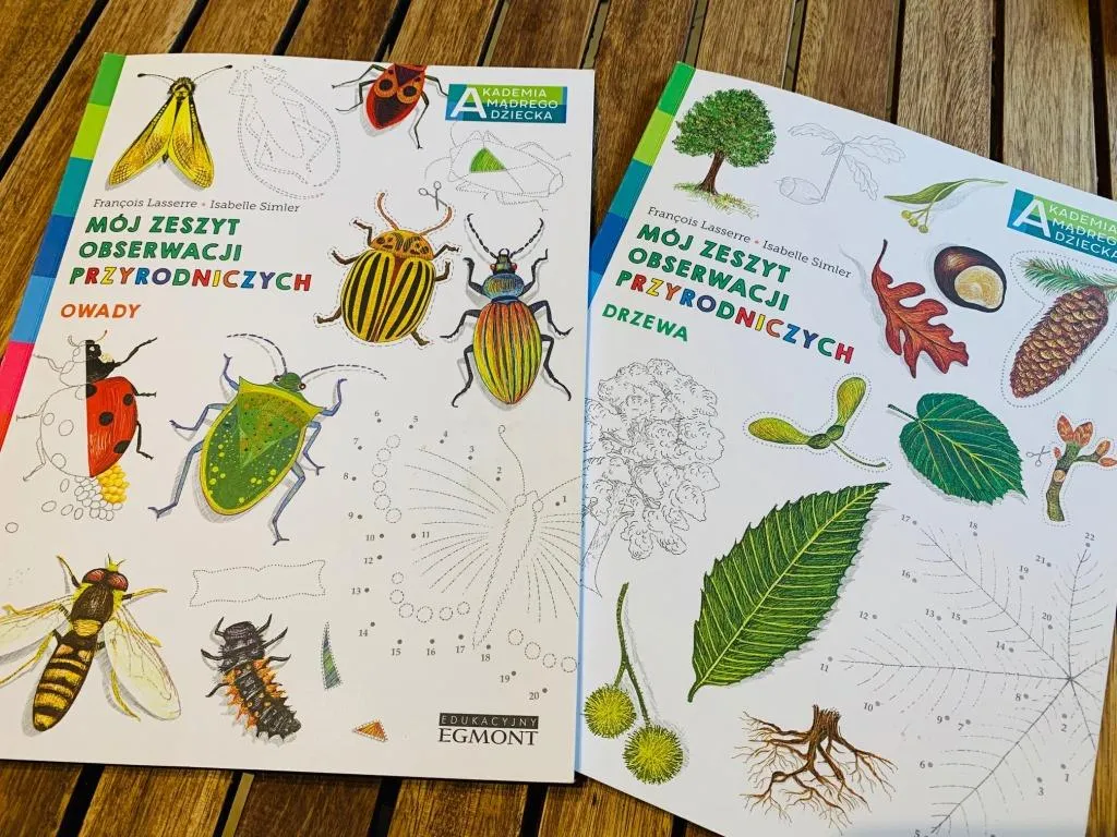 Zdjęcie Jak ozdobić zeszyt do przyrody: proste triki i inspiracje na dekoracje