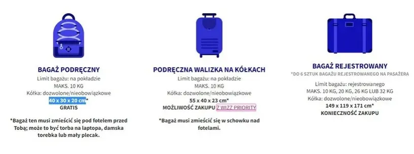 Zdjęcie Bagaż rejestrowany co to? Odkryj ważne zasady i ograniczenia
