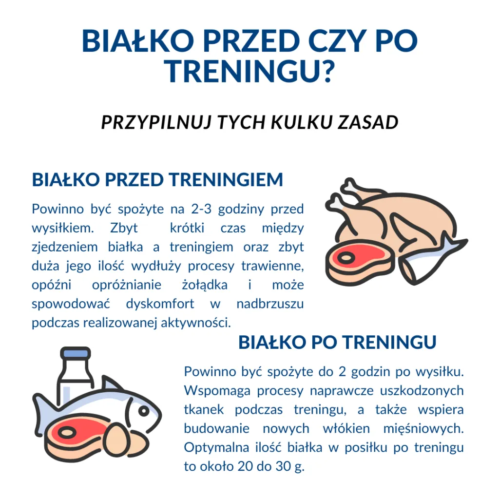 Zdjęcie Czy można brać białko bez treningu? Sprawdź, czy to bezpieczne i zdrowe