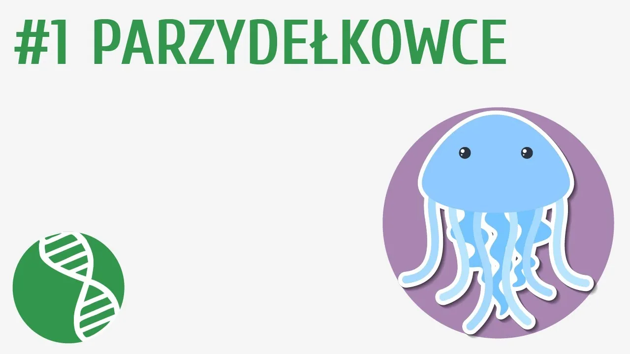 Zdjęcie Jak się rozmnażają meduzy? Zaskakujące fakty o ich cyklu życia