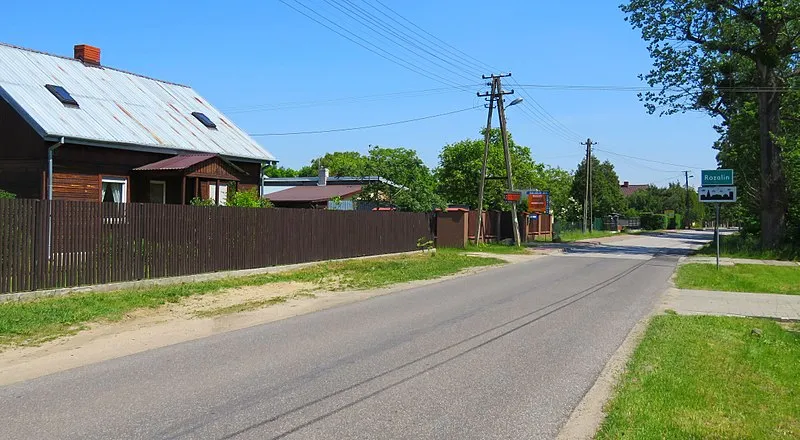 Zdjęcie Rozalin: urokliwa wieś pod Warszawą z rozwiniętą infrastrukturą