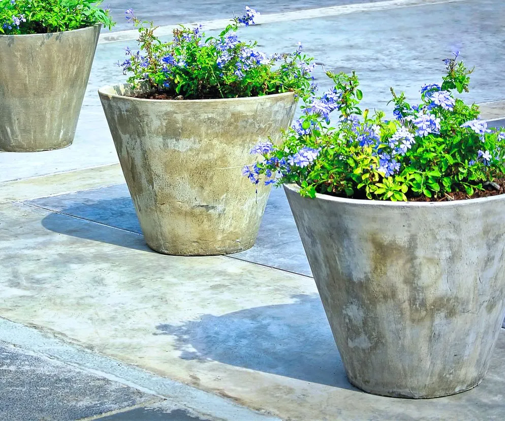 Zdjęcie Jak zrobić donice betonowe? Prosty poradnik DIY oszczędź i stw&oacute;rz styl!