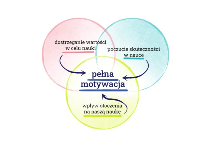 Zdjęcie Jak szybko nauczyć się biologii i uniknąć trudności w nauce