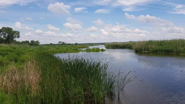 Zdjęcie Łapy atrakcje: Odkryj ukryte skarby i nieznane miejsca w regionie