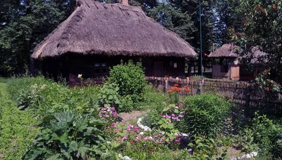 Zdjęcie Najciekawsze atrakcje w Wysokiem Mazowieckiem, które musisz zobaczyć
