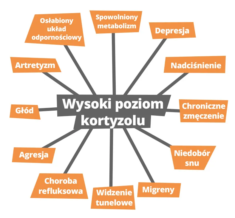 Zdjęcie Ile kosztuje badanie poziomu kortyzolu? Sprawdź ceny i uniknij niespodzianek!