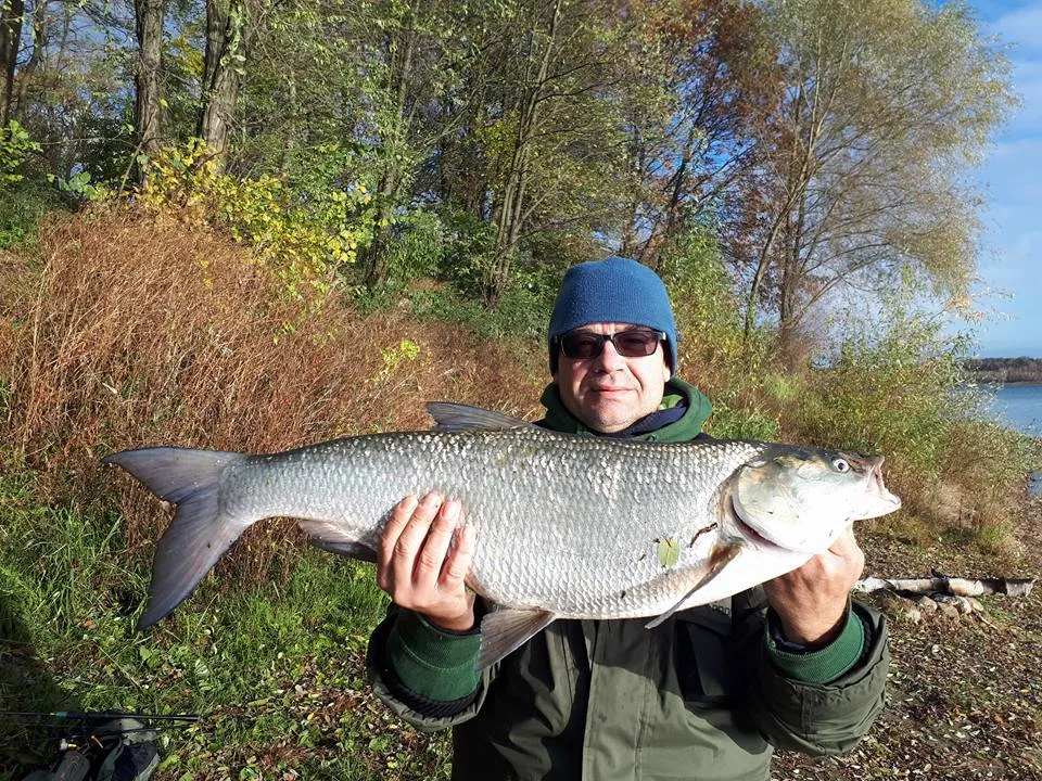 Zdjęcie Jak łowić na rzece spinning - skuteczne techniki i porady dla początkujących