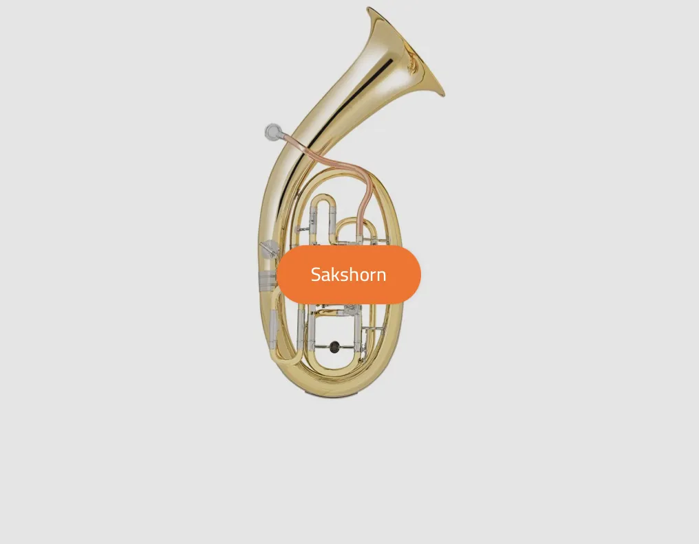 Zdjęcie Jaka tuba jest najlepsza dla początkujących? Instrument idealny do nauki gry