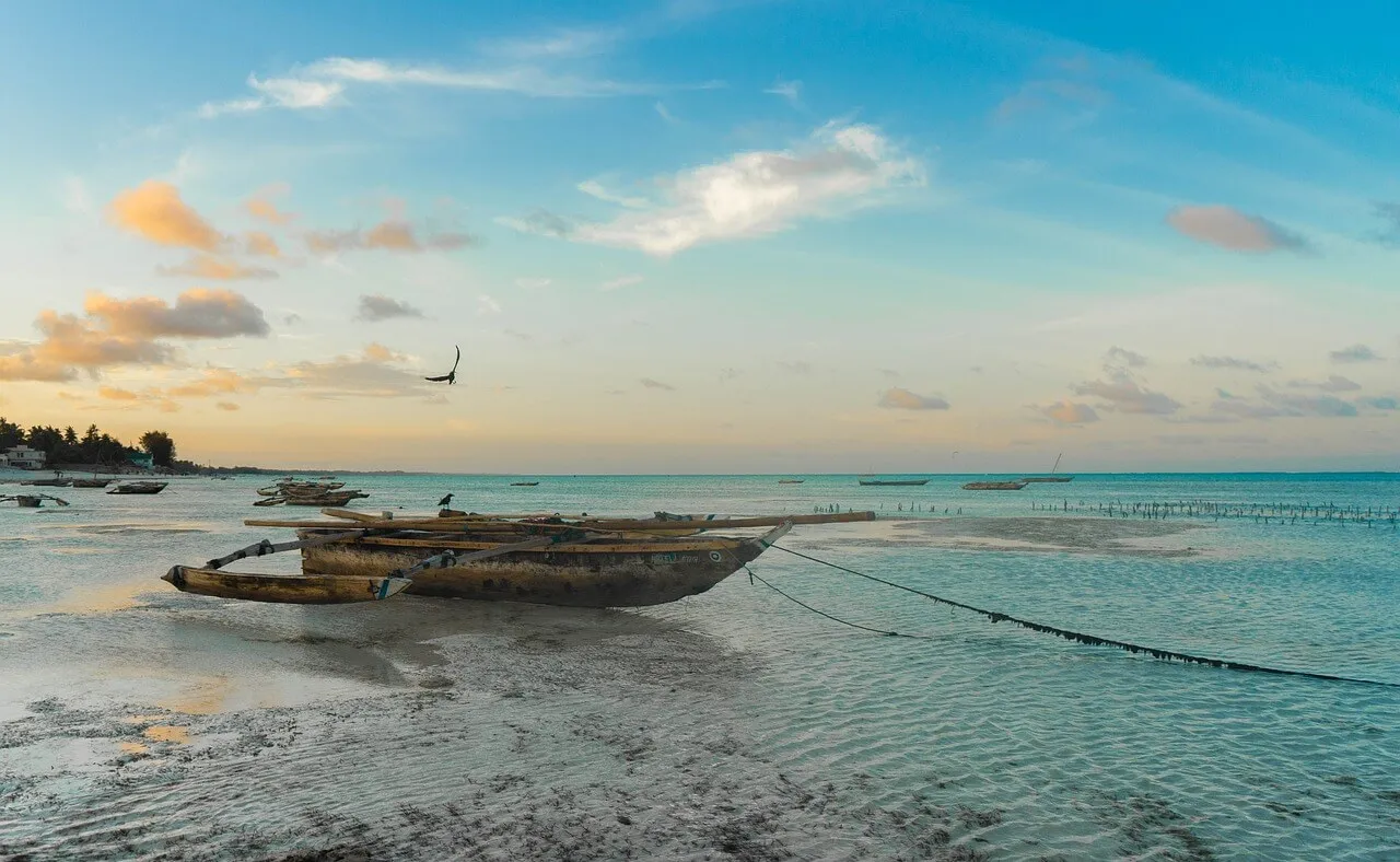 Zdjęcie Zanzibar: Paszport czy dowód? Co musisz wiedzieć przed podróżą