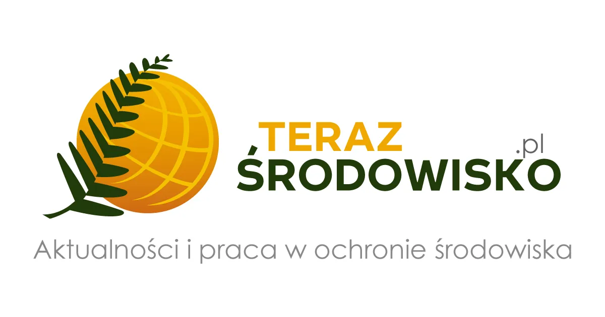 Zdjęcie Fotowoltaika w Południowej Afryce: przyszłość energii odnawialnej