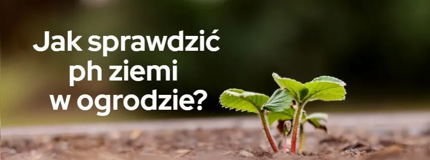 Zdjęcie Jak sprawdzić pH ziemi ogrodowej: proste metody i ich znaczenie dla roślin