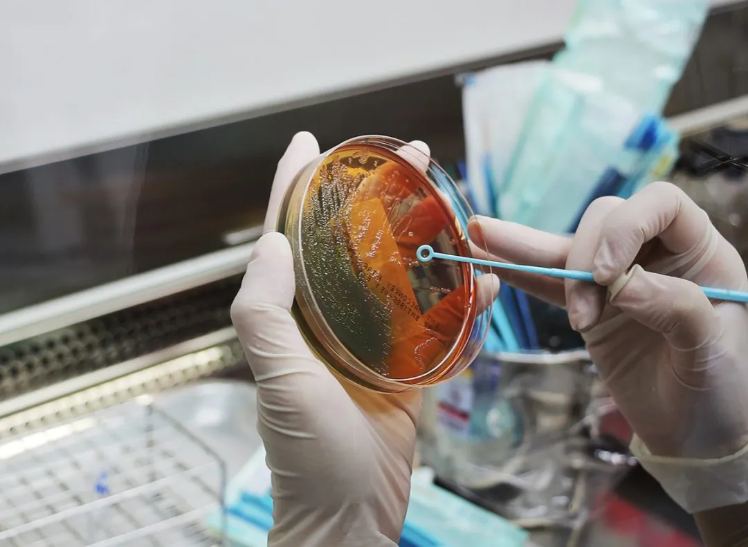 Zdjęcie Jak założyć laboratorium mikrobiologiczne - kluczowe wymagania i procedury
