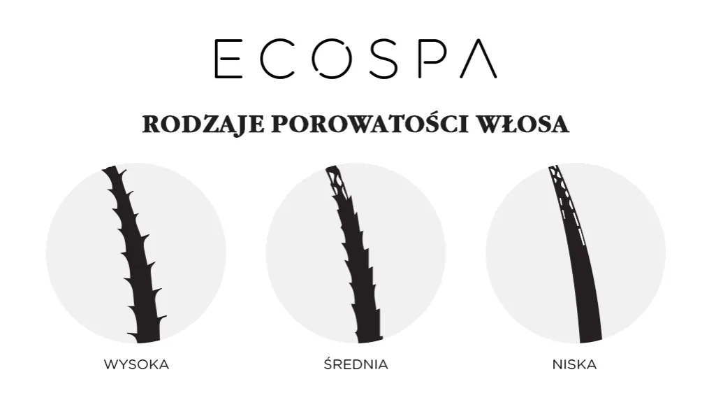 Zdjęcie Jak rozpoznać jakie masz włosy: kompletny test diagnostyki i pielęgnacji