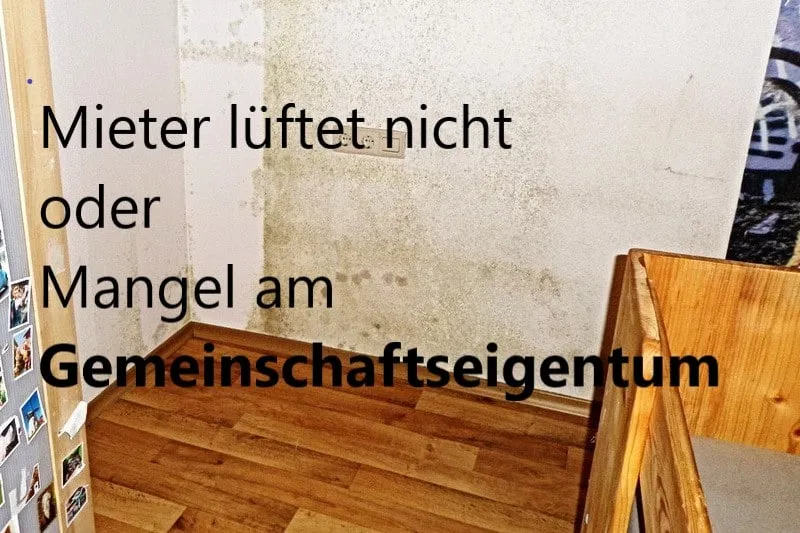 Zdjęcie Schimmel im Schlafzimmer: Was Mieter über Vermieterpflichten wissen müssen
