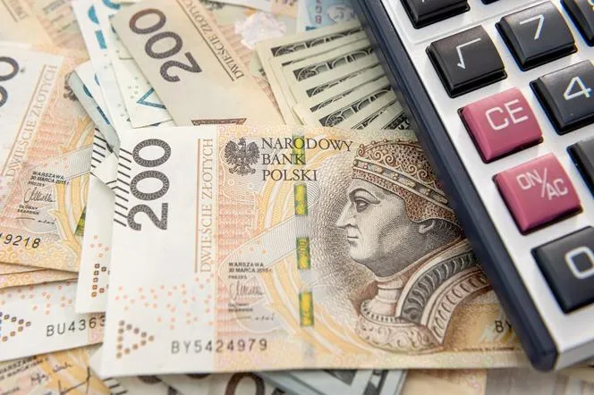 Zdjęcie Ile dopłaty do pelletu? Sprawdź, jak uzyskać wsparcie finansowe