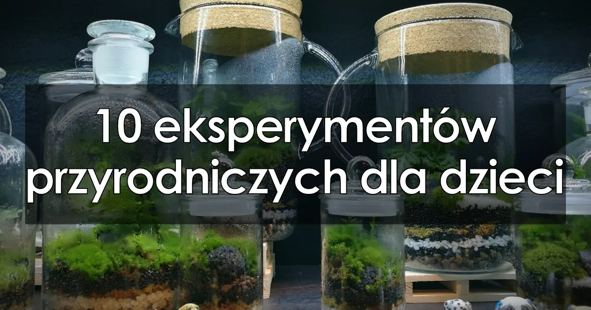 Zdjęcie Eksperymenty z ziemią dla dzieci – proste i fascynujące zabawy przyrodnicze