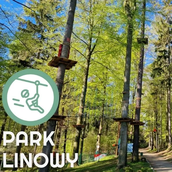 Zdjęcie Park linowy Wałbrzych - trasy, ceny i atrakcje dla całej rodziny