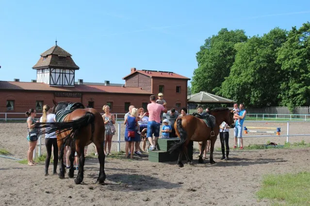Zdjęcie Stadnina koni Maciukiewicz - najlepsze lekcje jazdy konnej w Nowęcinie