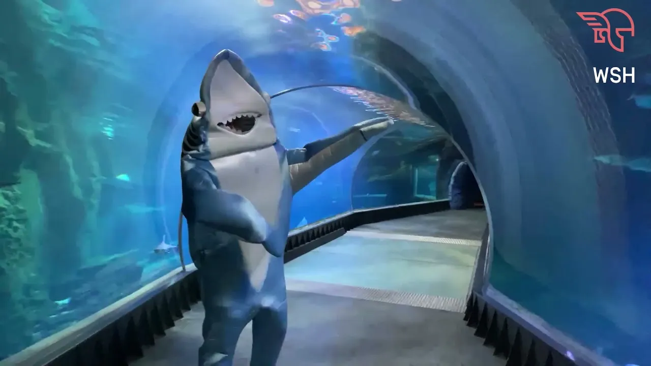 Zdjęcie Rekiny w oceanarium Wrocław – fascynujące gatunki i ich tajemnice