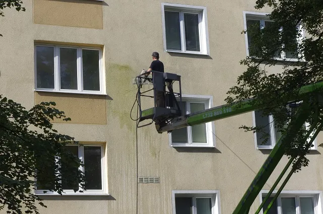 Zdjęcie Skuteczne metody, jak usunąć glony z elewacji i uniknąć ich powrotu