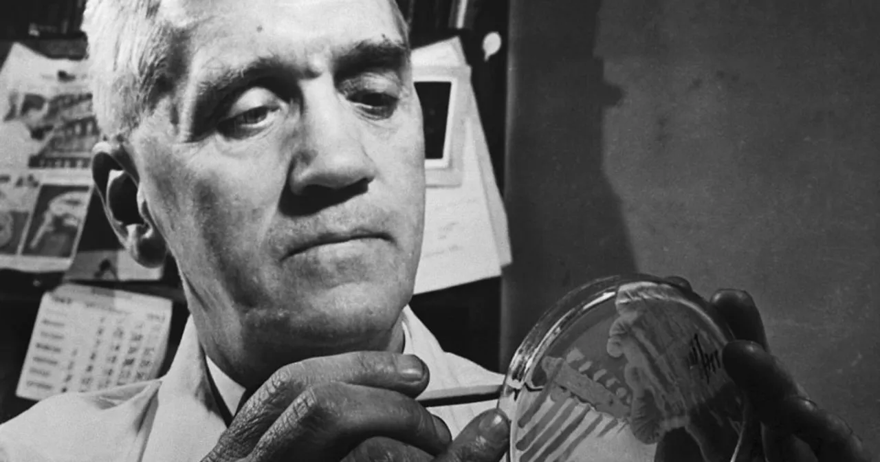 Zdjęcie Wynalazki i odkrycia w roku przestępnym, które zmieniły świat