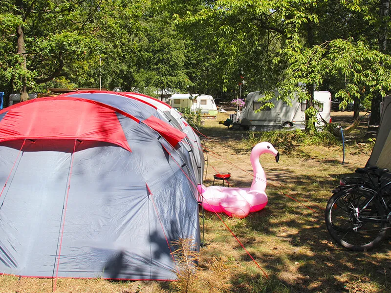 Zdjęcie Turawa Camp Camper Park nad Jeziorem Dużym – idealne miejsce na wypoczynek