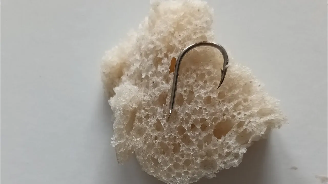 Zdjęcie Jak założyć chleb na haczyk, aby nie spadał podczas wędkowania