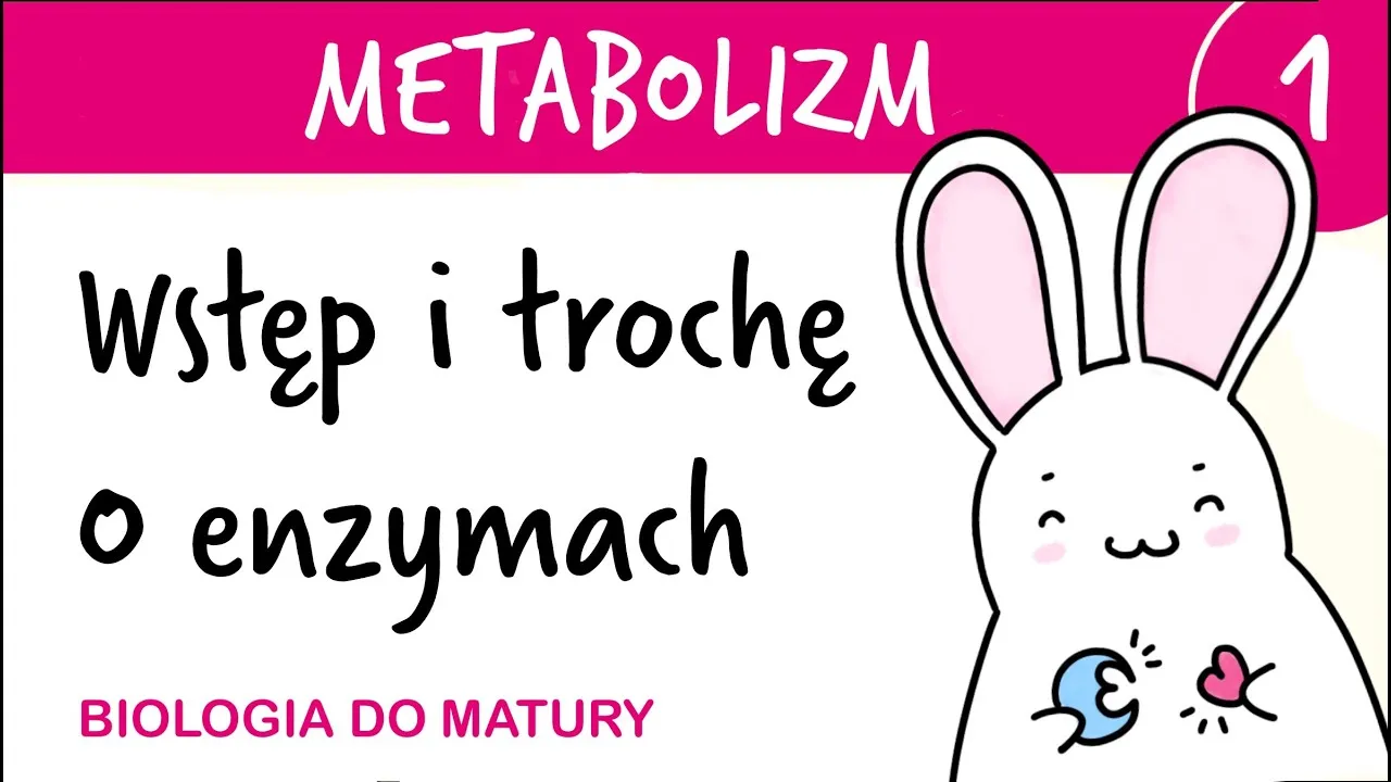 Zdjęcie Co to jest metabolizm w biologii i jak wpływa na zdrowie?