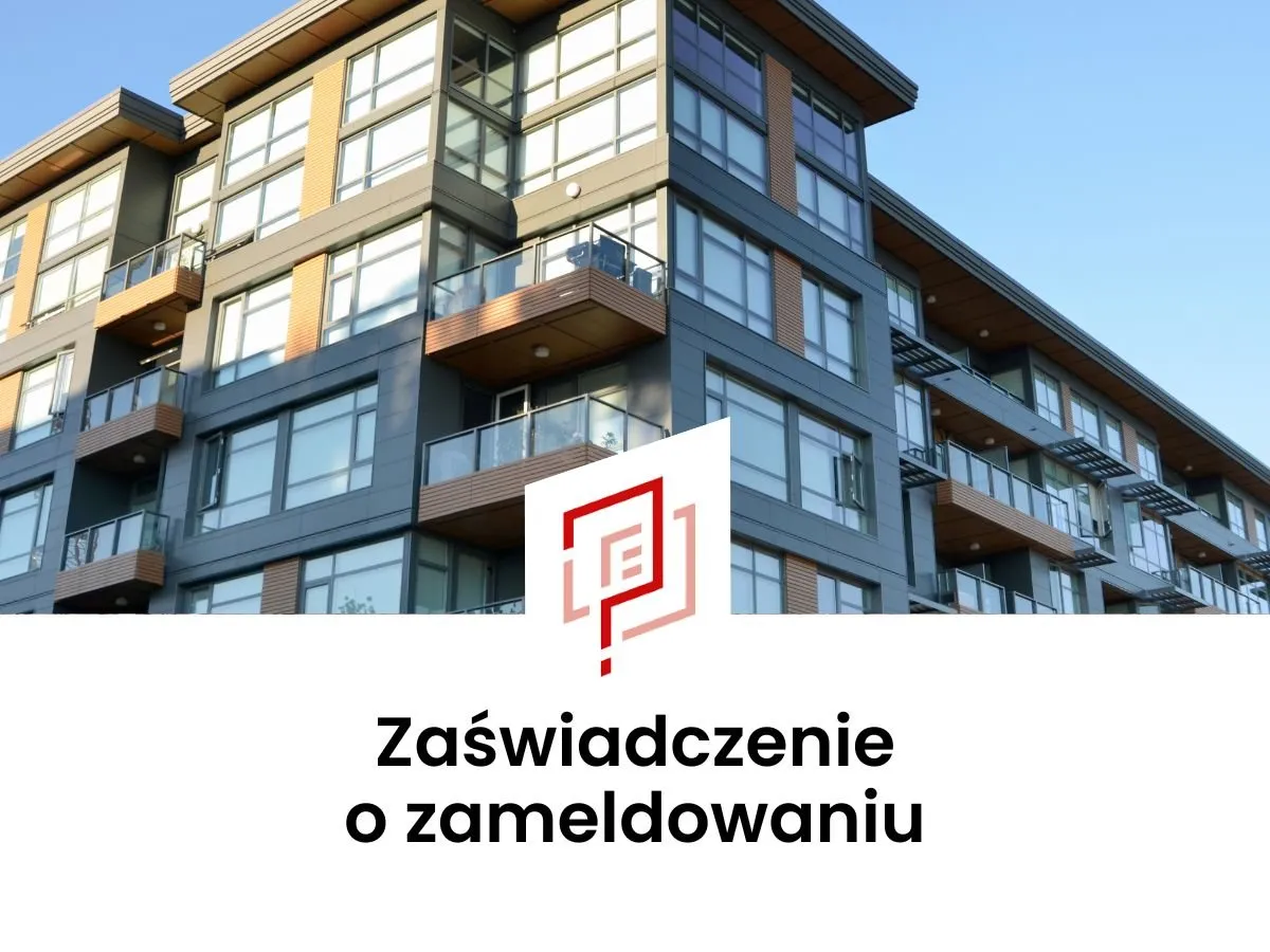Zdjęcie Jak napisać oświadczenie o zameldowaniu - uniknij błędów i problemów