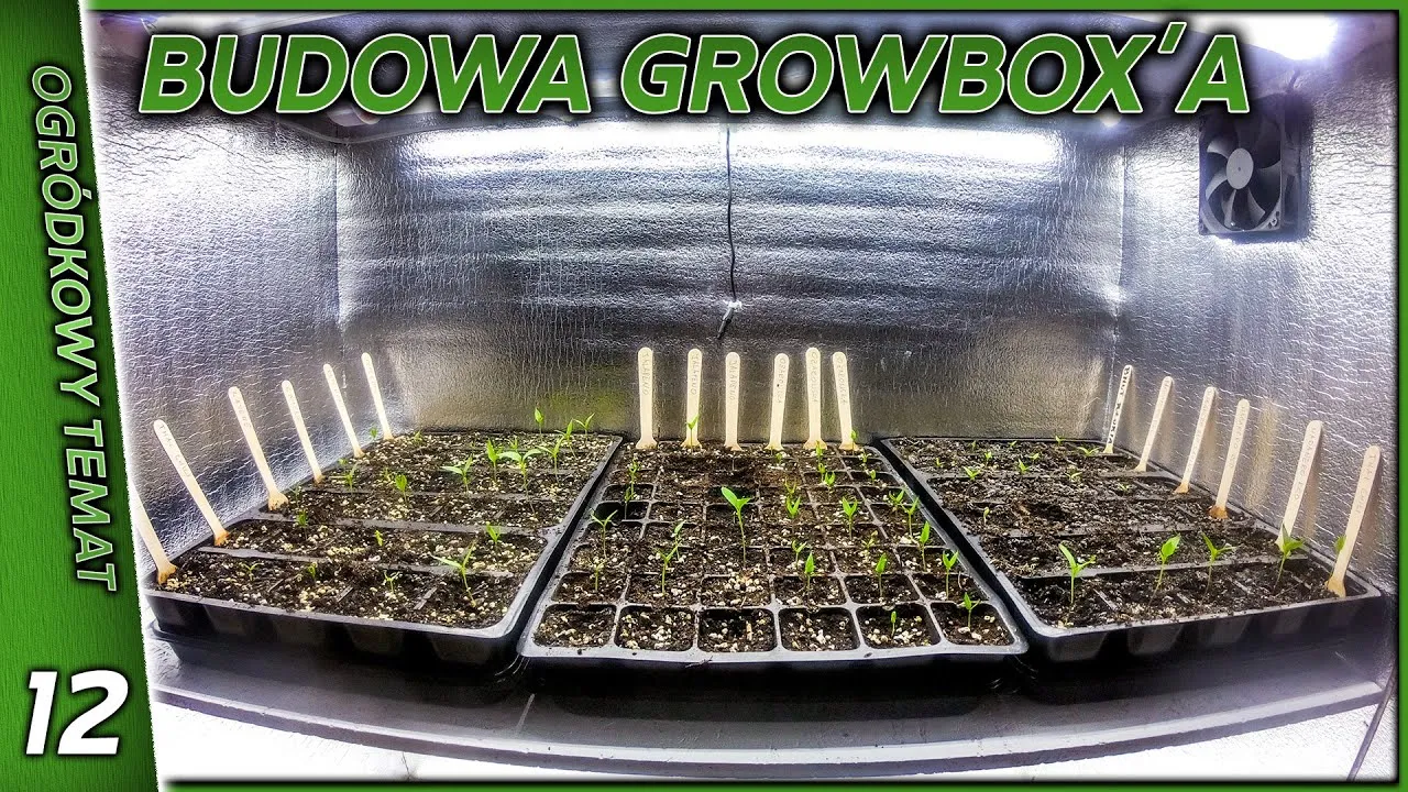 Zdjęcie Jak stworzyć idealny growbox DIY: materiały, instrukcje i porady
