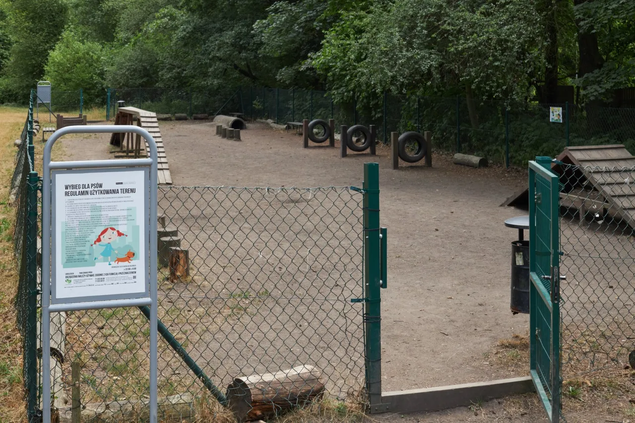 Zdjęcie Gdzie na spacer z psem Wrocław - najlepsze miejsca, które pokochasz