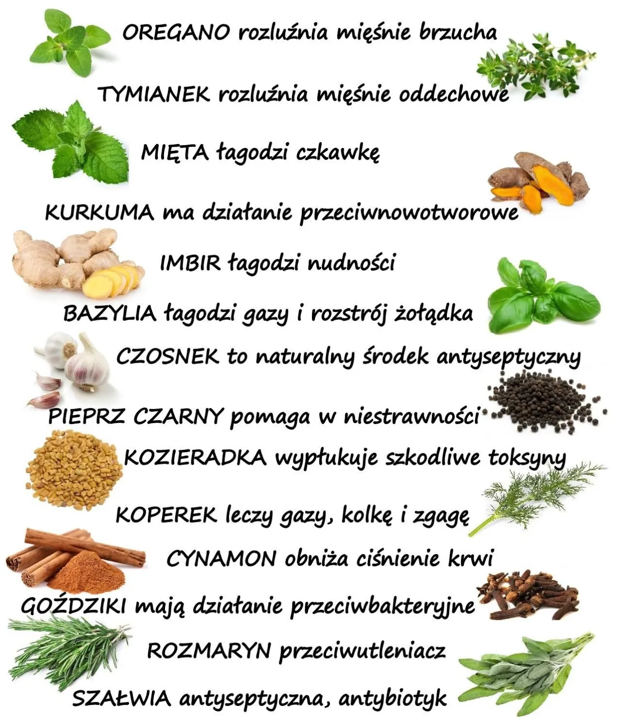 Zdjęcie Magiczne zioła, które dodadzą dziczynie niepowtarzalnego smaku i aromatu