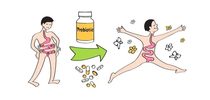 Zdjęcie Probiotykoterapia: przegląd skutecznych metod leczenia.