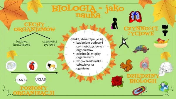 Zdjęcie Czy biologia to nauka ścisła? Odkryj złożoność tej dziedziny