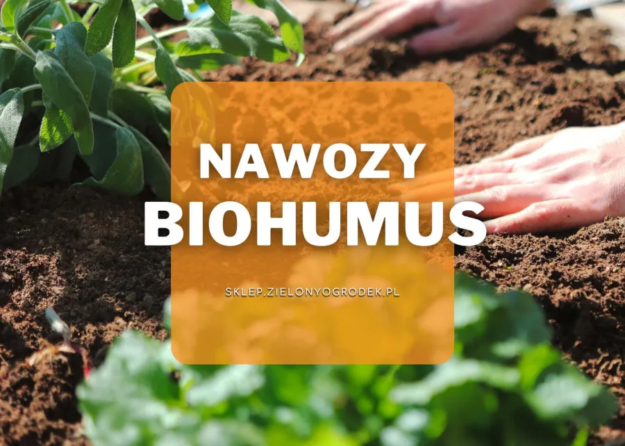 Zdjęcie Humus nawóz co to jest i jak może poprawić Twoją glebę