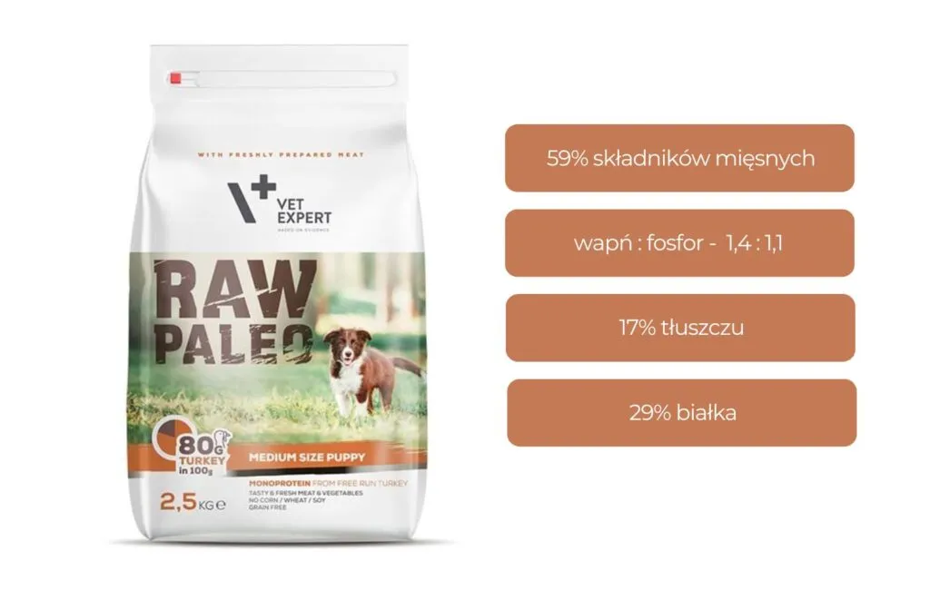 Zdjęcie Jaka karma dla rocznego psa? Sprawdź, co jest najlepsze dla zdrowia!