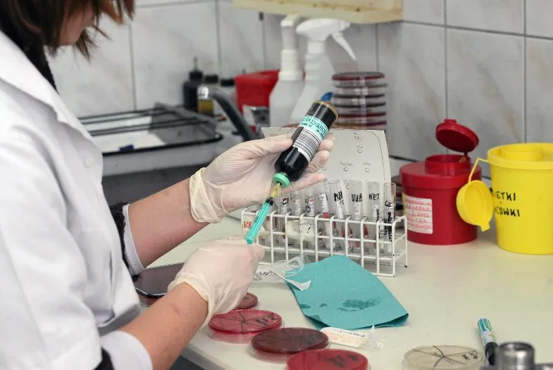 Zdjęcie Czy diagnostyka to dobre laboratorium? Opinie i wyniki badań
