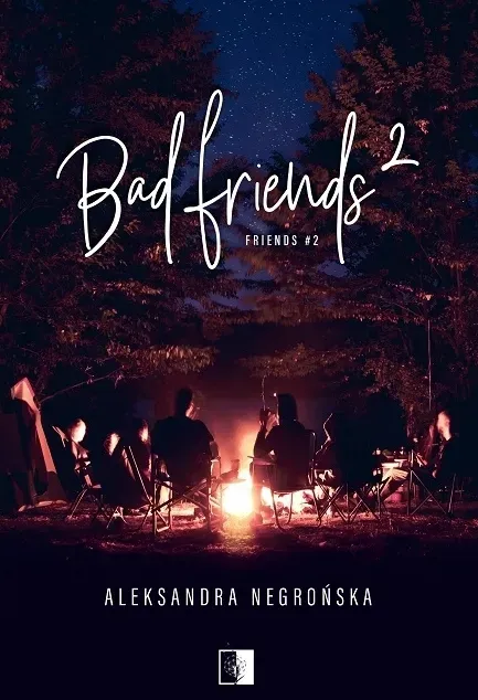 Zdjęcie O czym jest książka Bad Friends? Zaskakujące tematy i postacie