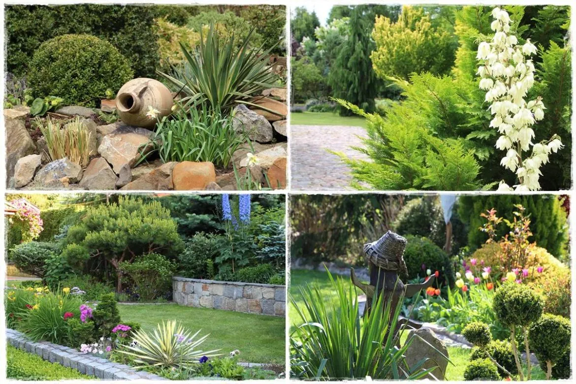 Zdjęcie Juka ogrodowa: z czym łączyć? Idealni sąsiedzi na Twoją rabatę