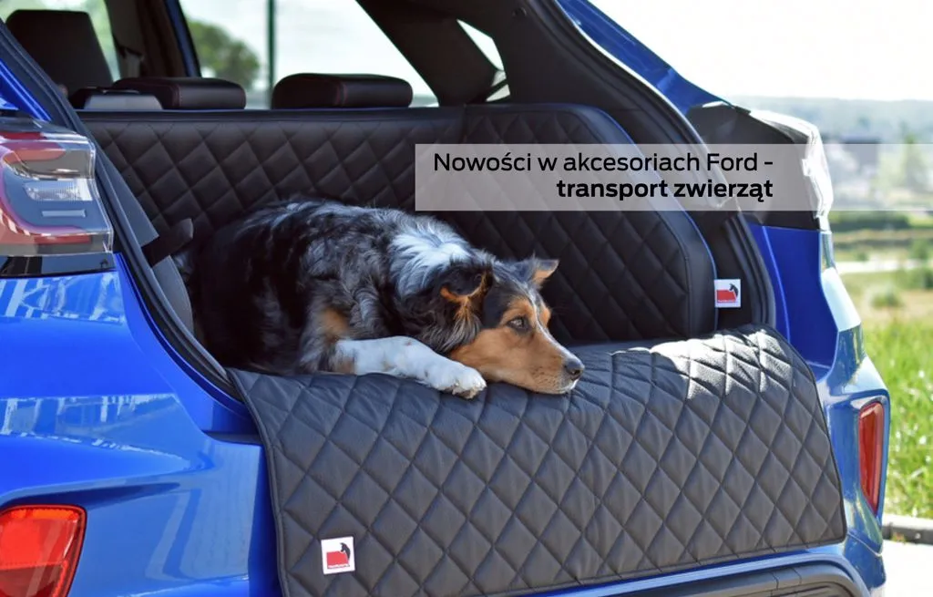 Zdjęcie Najlepszy transporter do bagażnika dla psa – zapewnij bezpieczeństwo i komfort