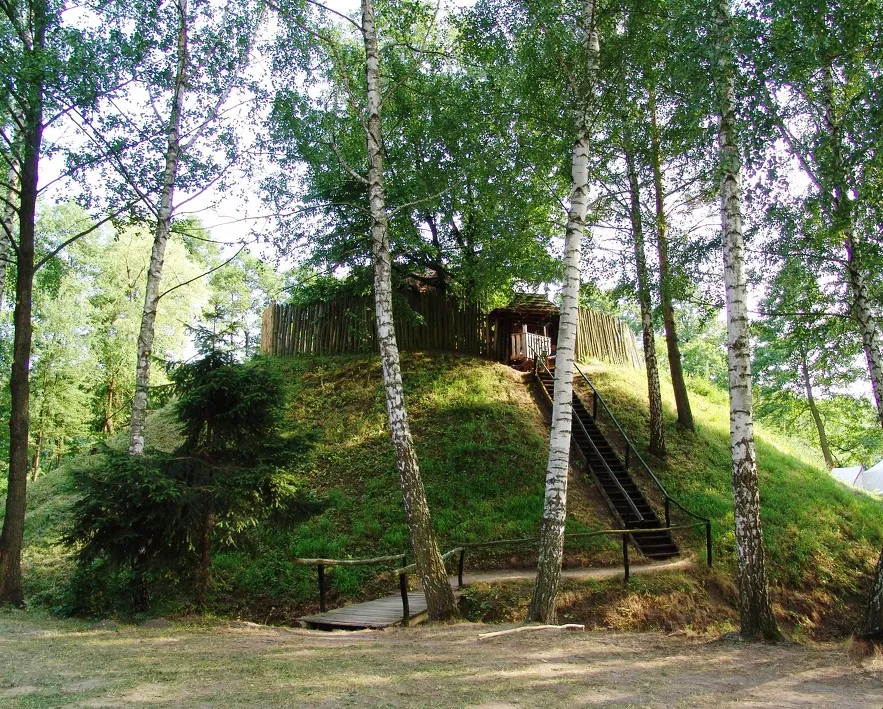 Zdjęcie Skansen w Mniszkach: Odkryj zanikające rzemiosła i atrakcje