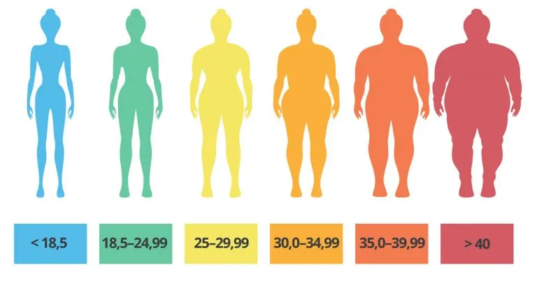 Zdjęcie Jak obliczyć BMI dla dorosłych i zrozumieć jego znaczenie