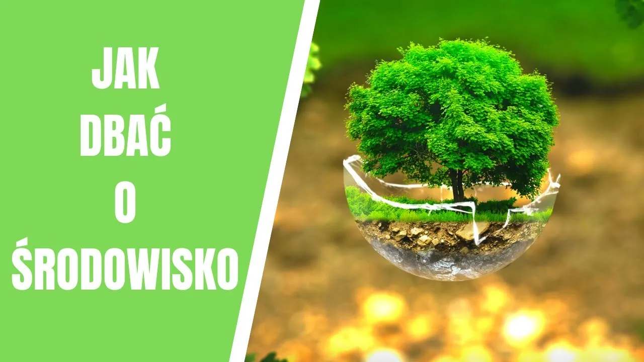 Zdjęcie Skuteczne przykłady ochrony środowiska - jak dbać o naturę