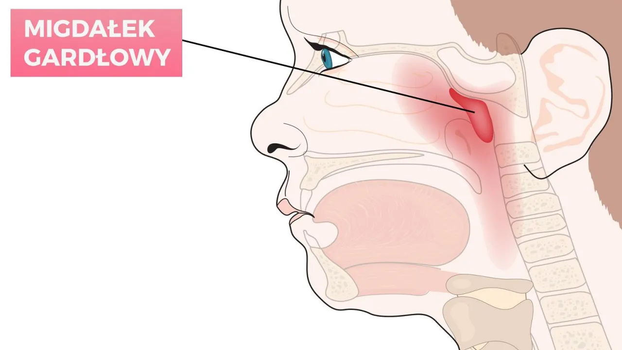Zdjęcie Jak wygląda badanie trzeciego migdałka u dzieci - co musisz wiedzieć